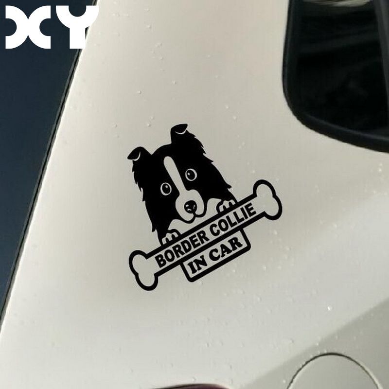 Border Collie Dog Sticker for Car Stickers And Vinyl Decals Laptop Sticker Decal Motorcycle Skateboa