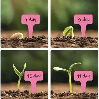 10ชิ้นพืชป้ายต้นไม้ป้ายที-รูปป้ายพลาสติกหน้าแผ่นพื้นดินนาข้าวจํานวนแผ่นต้นกล้าแผ่นกันน้ําสําหรับตกแต่งสวนต้นไม้ชื่อเขียน