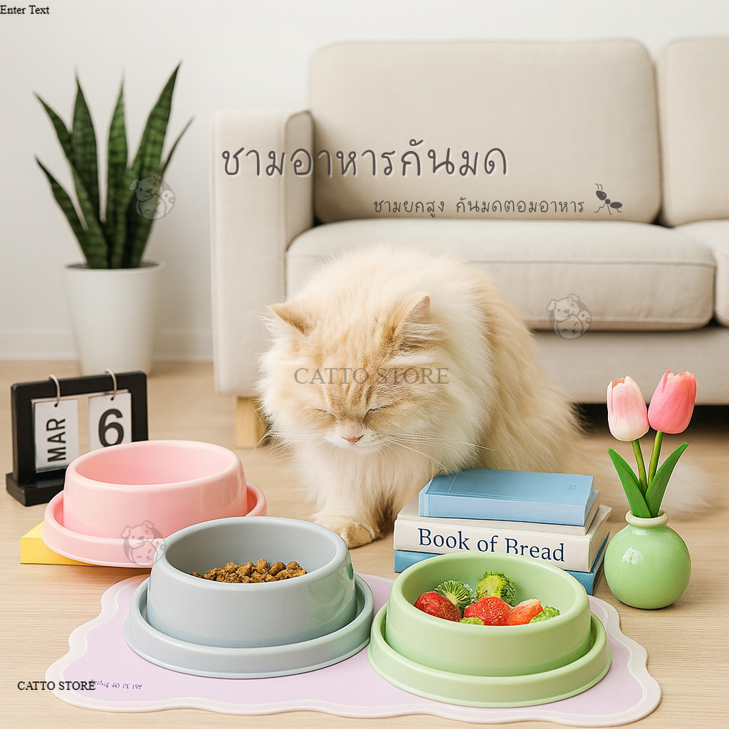 ถ้วยอาหารแมว ชามอาหารกันมด น่ารัก ชามยกสูง ชามสัตว์เลี้ยง กันแมลงขึ้น เทน้ำรอบชา