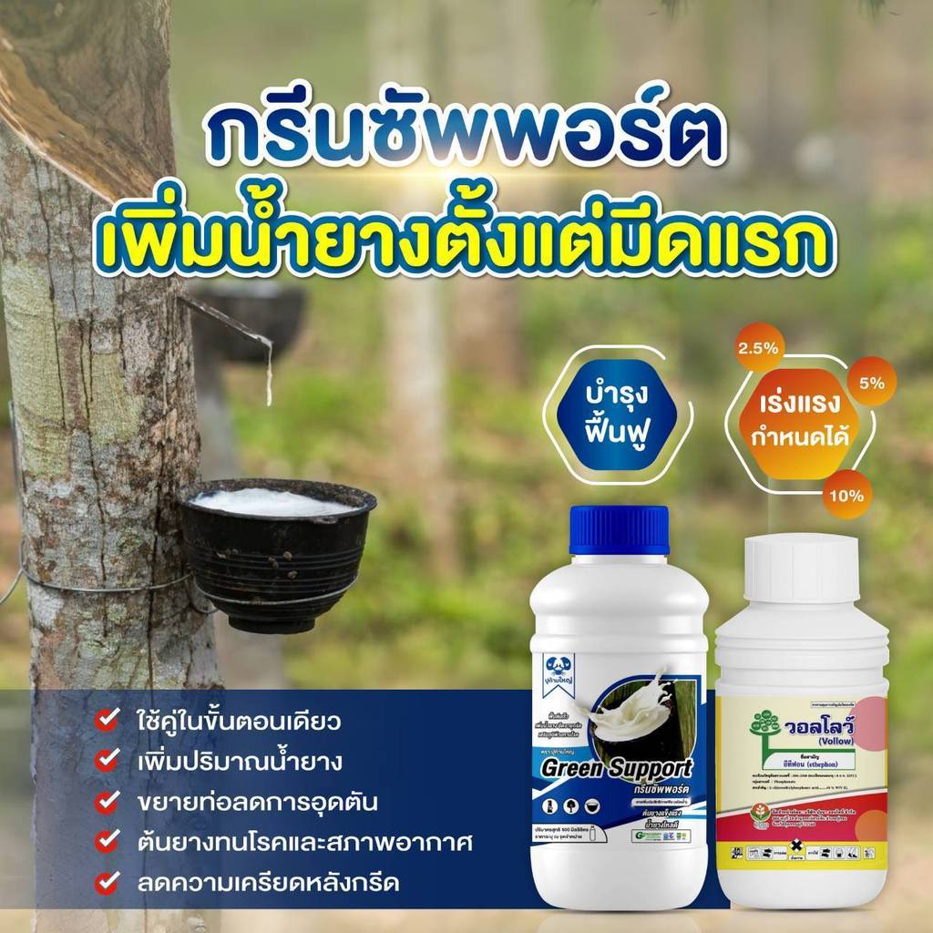 ยาทาหน้ายาง กรีนซัพพอร์ต เซ็ตคู่เพิ่มน้ำยาง(ทาง่ายขั้นตอนเดียว) 500มล.จำหน่ายคู่และเดี่ยว เร่งพร้อมบำรุงฟื้นฟู