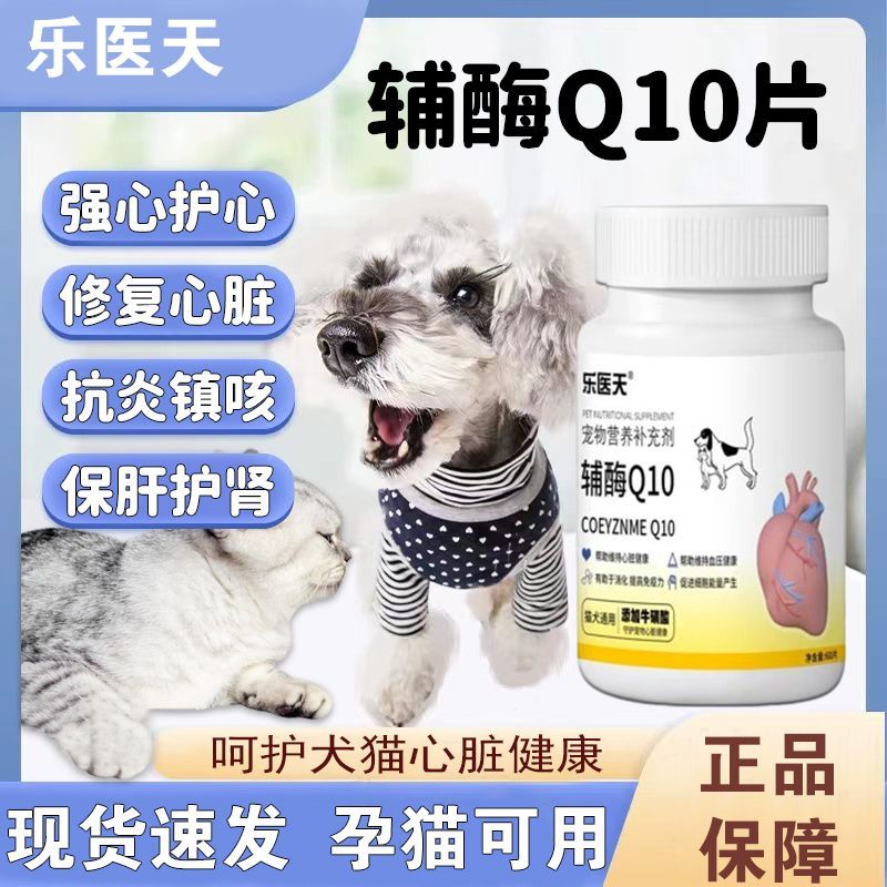 Concentrated Coenzyme Q10 Pets Dogs Cats Protect Hearts Fat Elderal Care Nutritional Care20251118