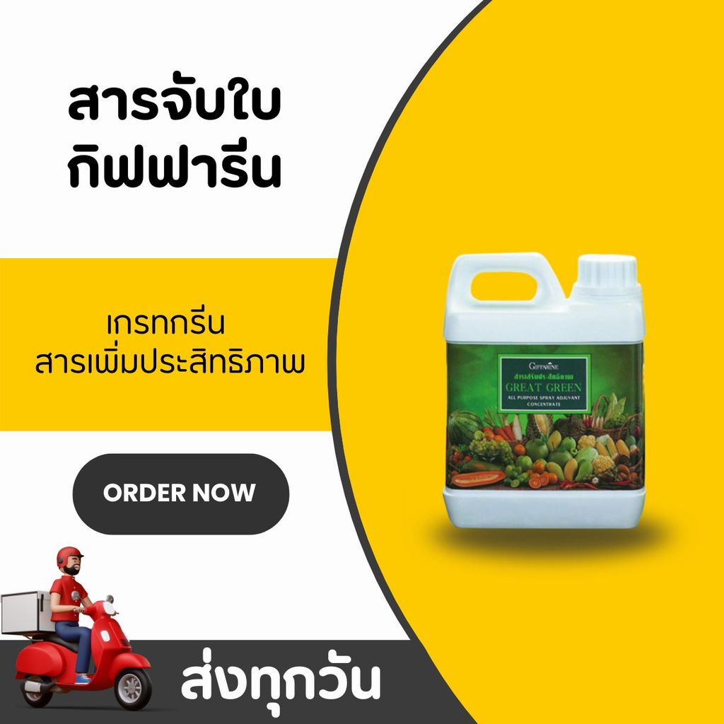 สารจับใบ กิฟฟารีน เกรทกรีน Giffarine Great Green ปุ๋ยเสริมประสิทธิภาพพืช ช่วยเกาะใบ ดูดซึมดี