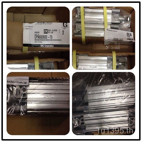 SMCCP9663-U1R001-600, CP9632-U1X002-170CP96KDB50-600 กระบอก, LTNJ