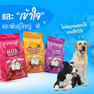 Pramy พรามี่ อาหารเม็ดสุนัข ทำจากเนื้อสัตว์แท้ ไม่มีผลพลอยได้จากสัตว์ปีก ดูแลครบ ขนาด 8-10 kg