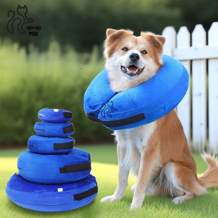 [PUMPING TOOLS NOT INCLUDED] ปลอกคอกันเลียแบบเป่าลมสําหรับสัตว์เลี้ยง - Moa Cat Shop