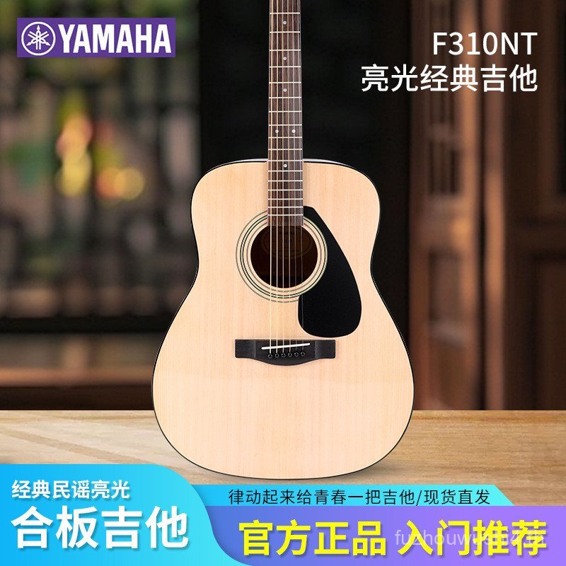 Daifa Yamaha Folk f310/f620/fg800/fg830 กีต้าร์โปร่ง Beginner Electric Case Guitar