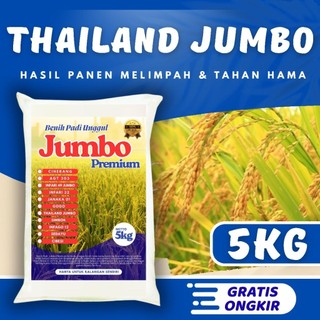 Benih padi unggul Thailand jumbo original 5kg Berkualitas / Anti Roboh / Anti Hama