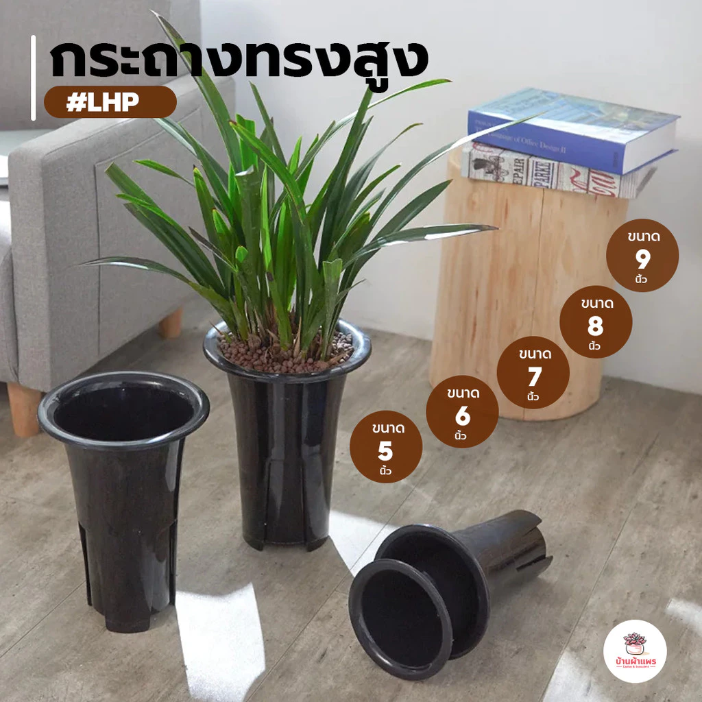 กระถางทรงสูง #LHP กระถางพลาสติก แคคตัส กระบองเพชร ไม้อวบน้ำ Cactus&Succulent