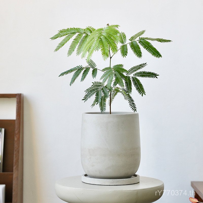 สํานักงานกระถางตกแต่งบ้านจําลองอุตสาหกรรมสไตล์นอร์ดิกดอกไม้ประดิษฐ์ในร่มซีเมนต์ตกแต่งพืชสีเขียวพืชที