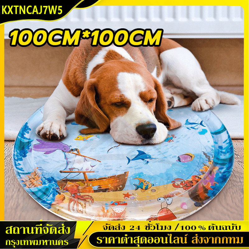 dog🐶💦สัตว์เลี้ยงเสื่อน้ำ ที่นอนเย็น  เบาะน้ำพองลม 3 มิติ พร้อมปูปลาดุ้กดิ้กในน้ำ เบาะเป่าลม ของเล่นแมว