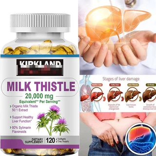 Milk Thistle Pills 50:1 Extract ช่วยเสริมประสิทธิภาพการล้างสารพิษและส่งเสริมสุขภาพตับ สนับสนุนการช่วยเหลือ