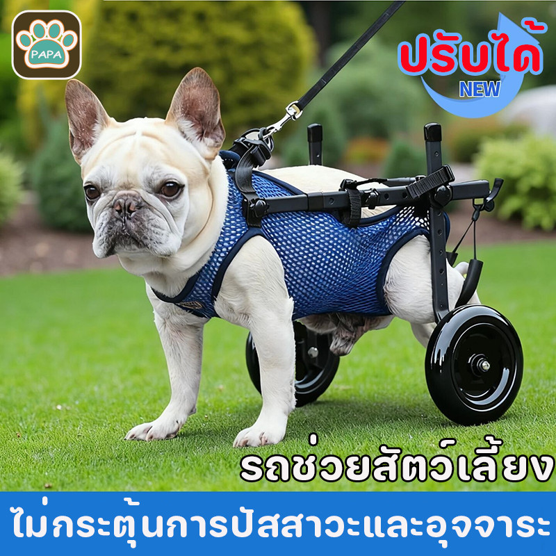 NEW รถเข็นสัตว์เลี้ยง วีลแชร์สุนัข รถเข็นสำหรับสัตว์พิการ อุปกรณ์ช่วยฟื้นฟูสัตว์เลี้ยง แบบปรับได้