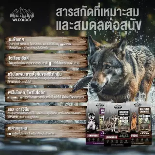 WILDOLOGY FOR DOG อาหารสุนัขแบบเม็ดเกรด Holistic Grain Free เลือกได้ทุกช่วงวัย ขนาด 1.5 kg