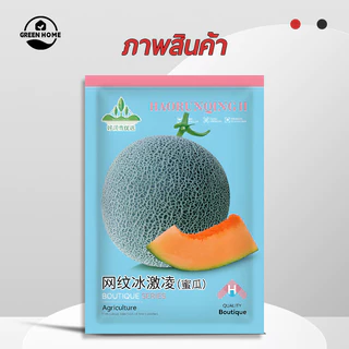 เมล่อนญี่ปุ่น📌มาชิตะ🍀เมล็ดพันธุ์เมล่อนมาชิตะ50เมล็ด🎯งอกง่าย โตไว☘️ผลโต👍หวานอร่อย