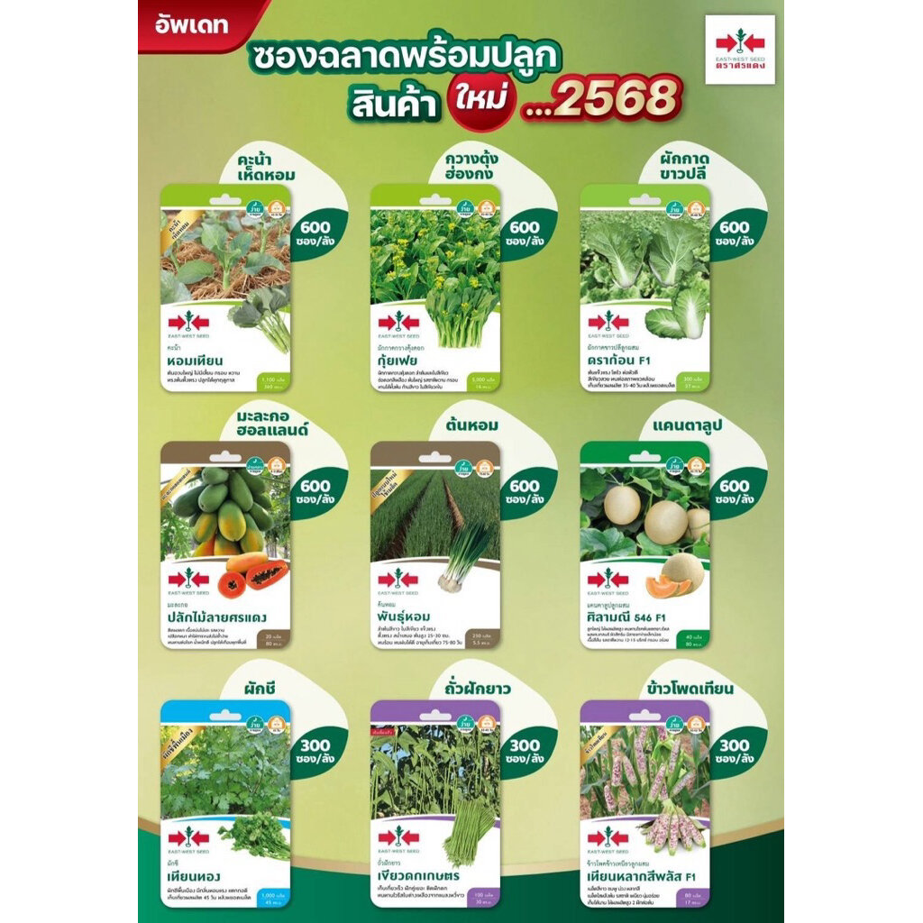 Sorndang(ศรแดง) GGEW เมล็ดพันธุ์ เมล่อน คันไซ 40 เมล็ด ตราศรแดง Melon - รูปที่ 2