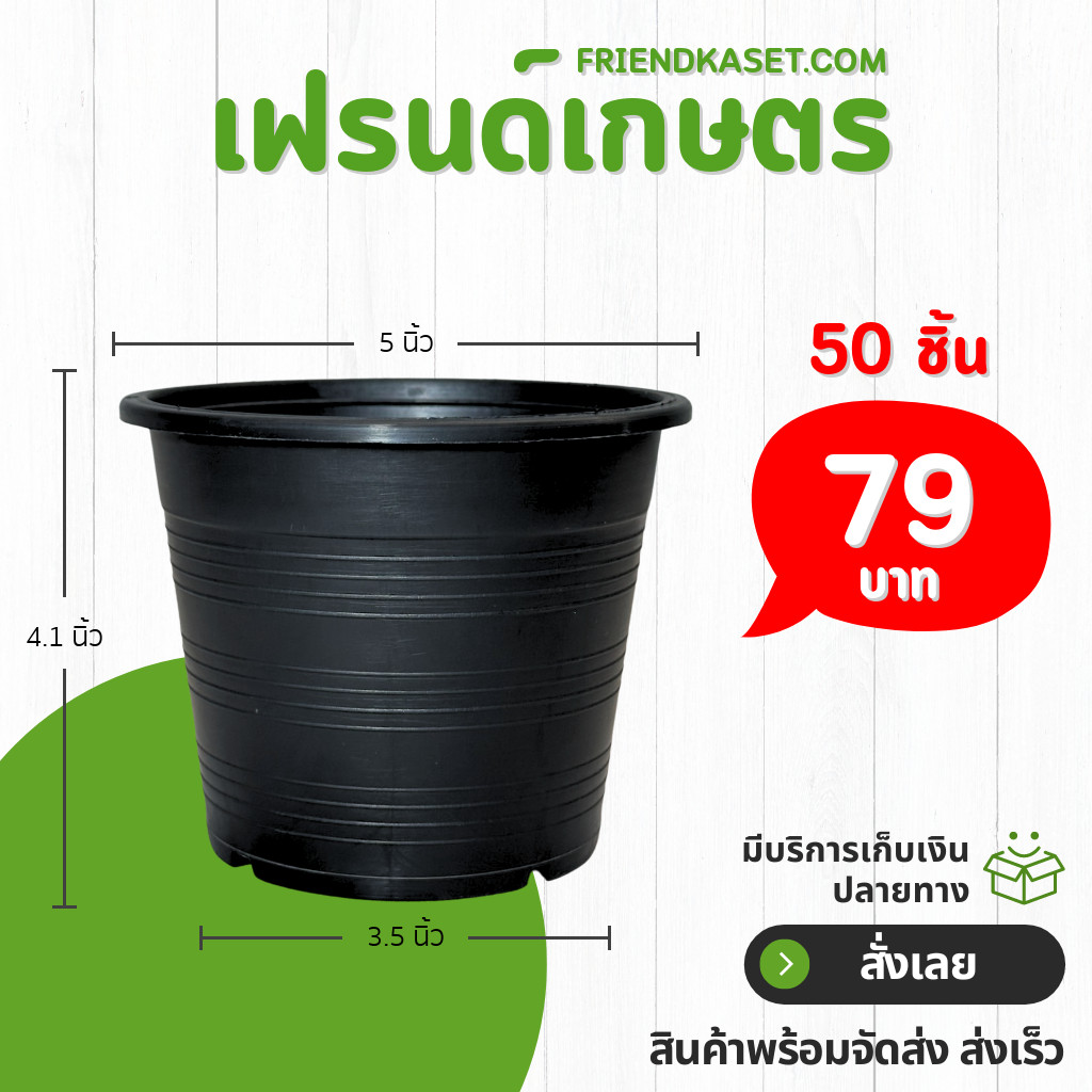 กระถาง กระถางต้นไม้ กระถางใส เบอร์ 6 นิ้ว สีใส 10 ใบ ชิ้น ยกมัด