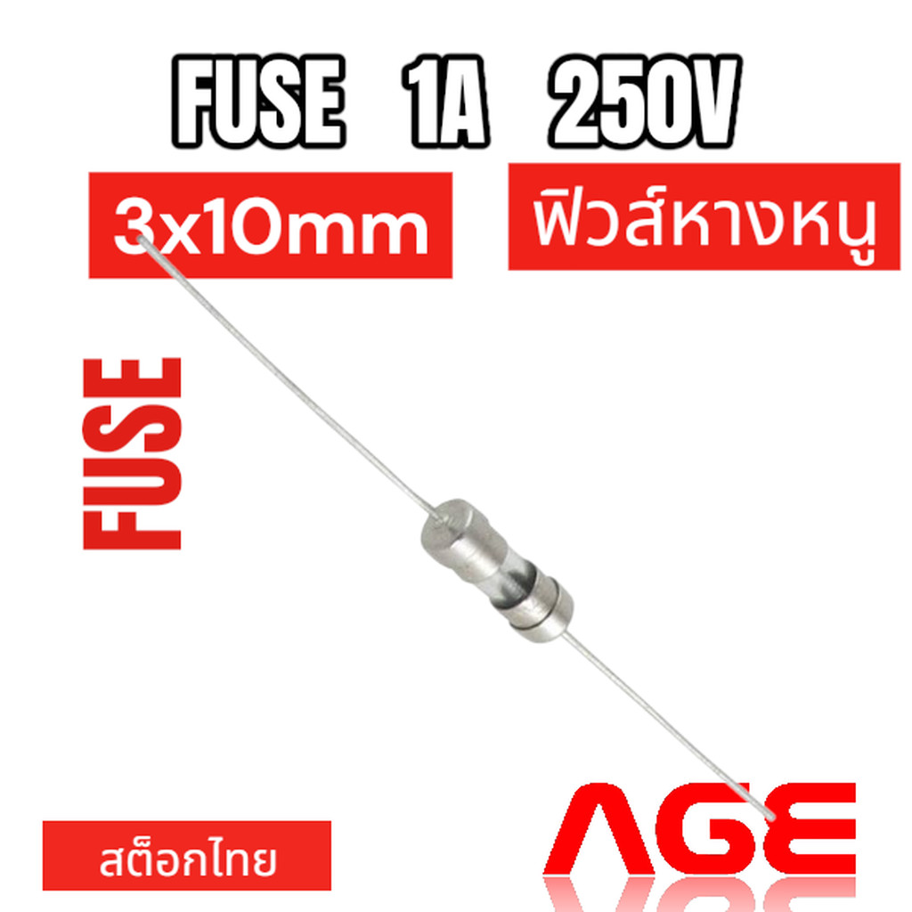 Fuse 1A 250V, 3X10mm,ฟิวส์หางหนู