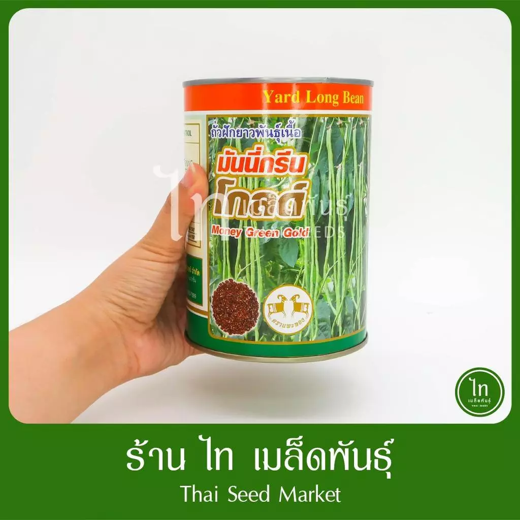 ถั่ว มันนี่กรีน โกลด์ พันธุ์ดก ทนไวรัสมาก ถั่วเกษตร เมล็ดพันธุ์ ถั่วฝักยาว ตราแพะทอง บรรจุ 500 กรัม