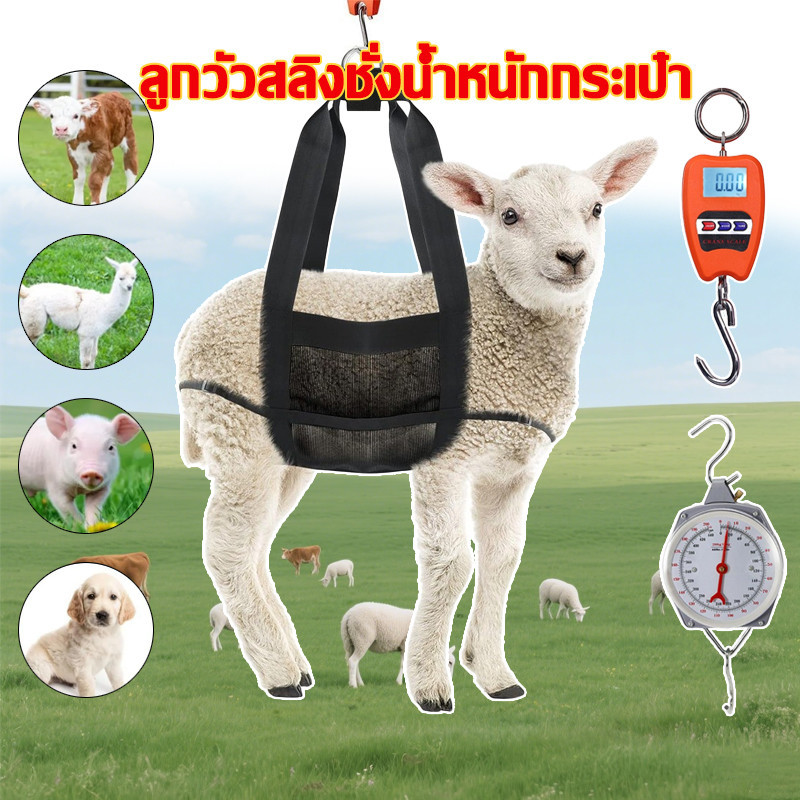 ชุดชั่งน้ำหนักสัตว์ 200kg กิโลชั่งแพะ อุปกรณ์ชั่งวัว แกะ หมู ตาข่ายชั่งสัตว์ ที่มีสายรัดปรับได้