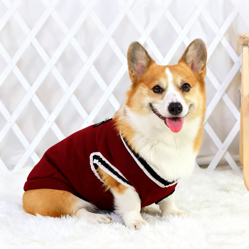 รูปภาพ 6