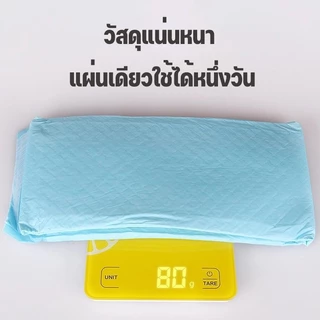 🐱 Pee Pad สำหรับสัตว์เลี้ยง 🐕， เหมาะสำหรับฝึกเข้าห้องน้ำ เนื้อดี ซึมเร็ว ซึมเร็ว เหมาะสำหรับสุนัขและแมว