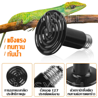 ขั้วหลอดไฟเซรามิกE27 หลอดไฟเซรามิค ให้ความร้อน UVA/UVB ใช้กกลูกนก ลูกสุนัข ลูกไก่ ให้ความอบอุ่น