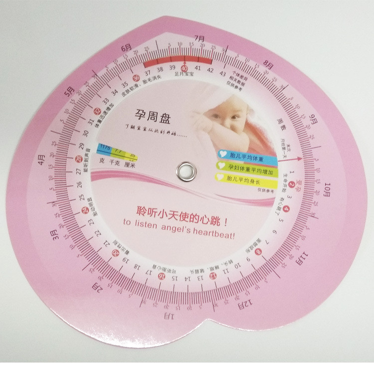 Hot Sale#Manufacturer sells in-stock supplies with gifts, paper pregnancy week chart10aa