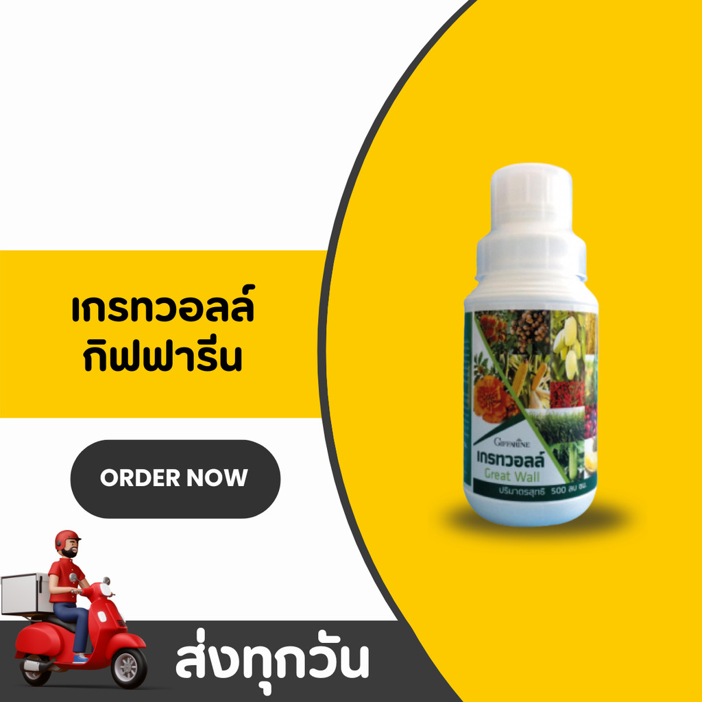 เกรทวอลล์ กิฟฟารีน Grotwall ปุ๋ยธาตุซิลิคอนรูปซิลิคแอซิด เสริมความแข็งแรงให้พืช เพิ่มผลผลิต