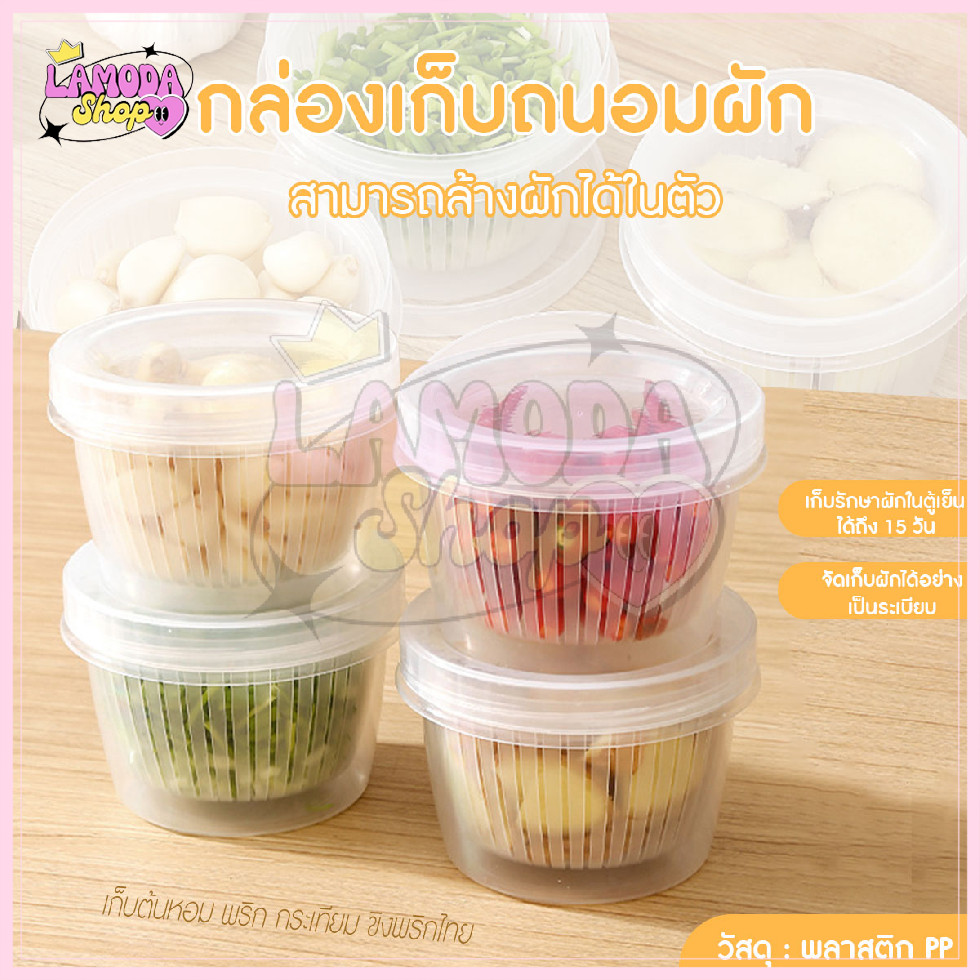 สินค้าพร้อมส่งจากไทย กล่องถนอมอาหาร กล่องเก็บผัก ผลไม้ ทำความสะอาดได้ง่าย ไม่มีกลิ่นติดกล่อง