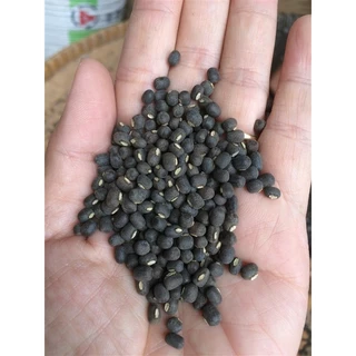 เมล็ดถั่วแขกดำ สำหรับเพาะงอก 900g. ถั่วดำ ถั่วเพาะงอก Black mung bean ถั่วเขียวผิวดำ ถั่วแขกพม่า