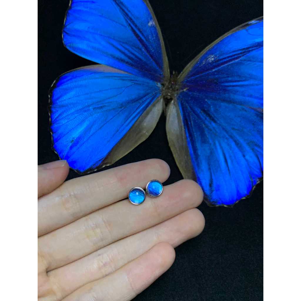 สร้อยคอผีเสื้อสีน้ำเงิน EOC Morpho menelaus - จี้ด้ายที่สวยงาม เป็นของขวัญหรูหรา