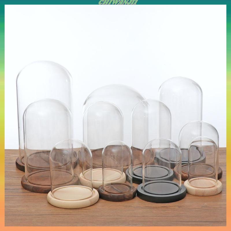 [ Chiwanji1] Cloche Dome Toys Jar Terrarium f/ Store Garden Miniature Landscape Ornament