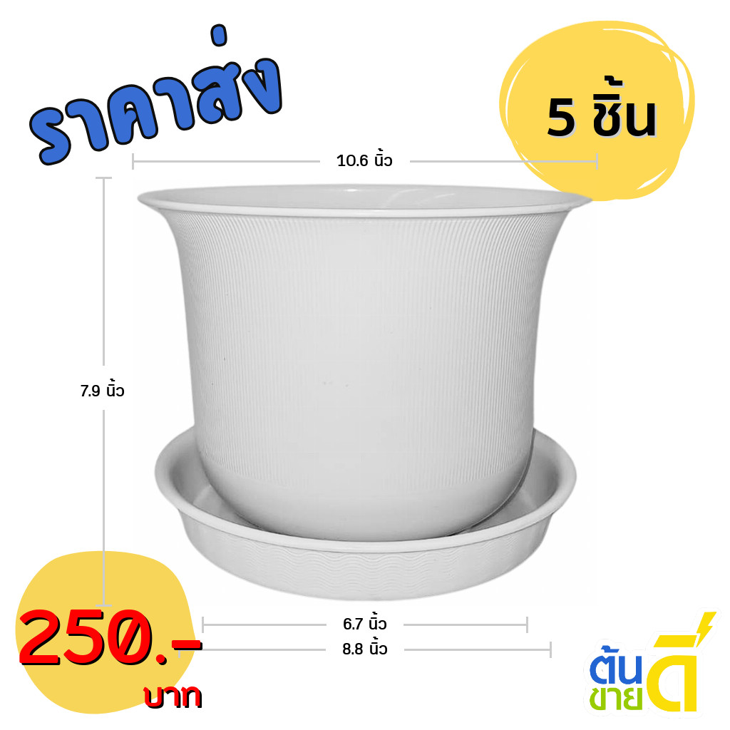 กระถางต้นไม้ มินิมอล ถ้วยจีน+จาน ขนาด 10 11 นิ้ว สีขาว Bundle 5 ใบ ชิ้น อัน