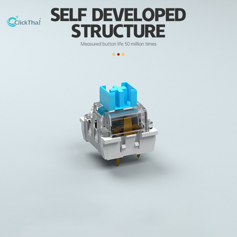 รูปภาพ 8