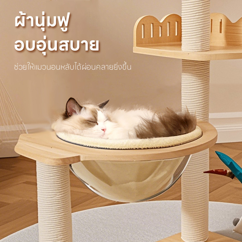 Doge&Orange เบาะผ้ารองนอน ผ้ารองหลุมแมว เบาะรองหลุมที่นอนอะคริลิค ขนาด 30 ซม. เนื้อผ้านุ่ม นอนสบาย COD PU227 - รูปที่ 3