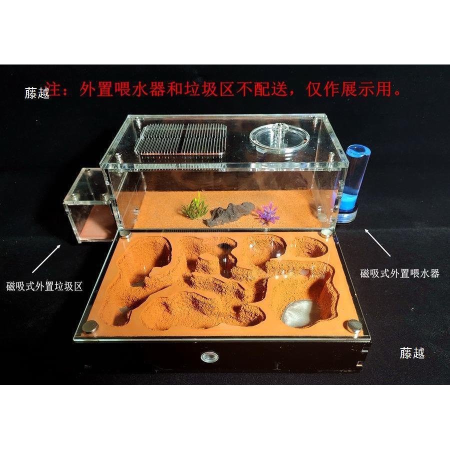 การถ่ายภาพสัตว์เลี้ยง Ant Empire Double Ant Nest Farm Workshop Ant Ranch Castle Water Tower Castle M