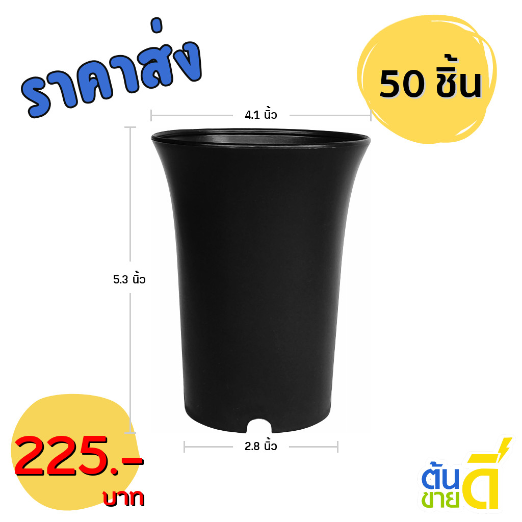 กระถางปากแตร กระถาง กระถางไม้กราฟ ทรงสูง 4 นิ้ว 50 100 ใบ สีดำ ยกมัด