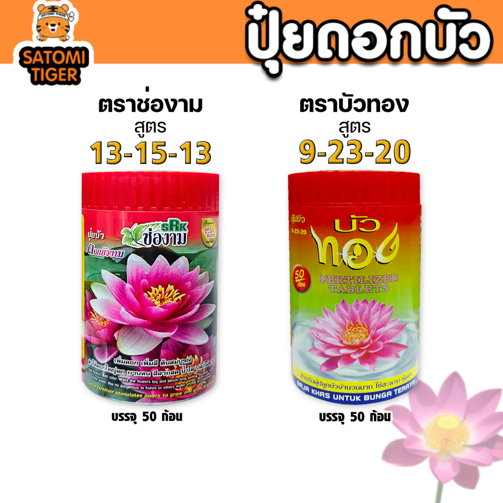 ปุ๋ยบัวเร่งดอก บัวทอง / ช่องาม เพิ่มดอกใหญ่ สีสดจัด ใบหนา แตกหน่อดี ต้นแข็งแรง เหมาะกับบัวหลวง บัวสาย บัวกระด้ง
