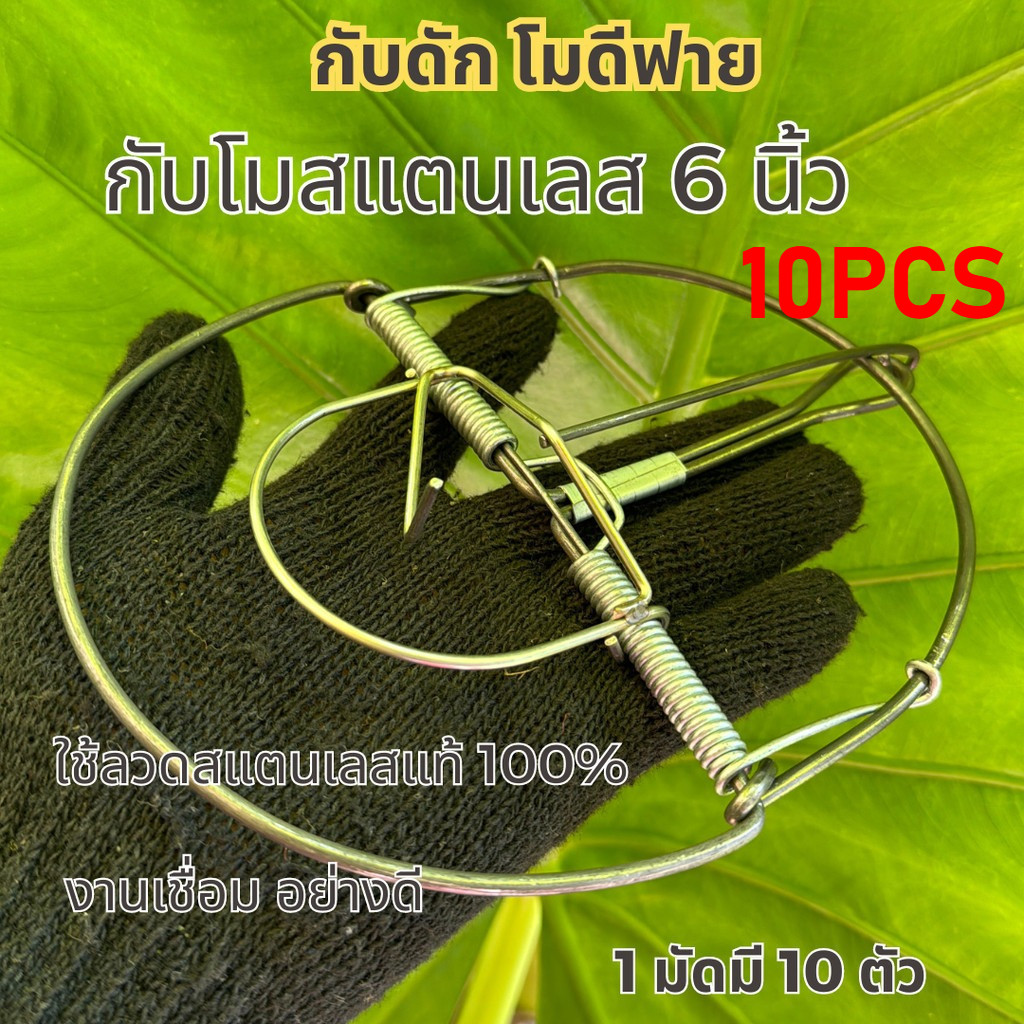 กับดักหนู กับหนูขนาด 6 นิ้ว 10 ชิ้น โมดิฟาย ใช้ดักหนูนา หนูพุกใหญ่ โมดิฟายที่เสียบเหยื่อพร้อมใช้งาน ดีดแรงดีดแม่น แน่นอน