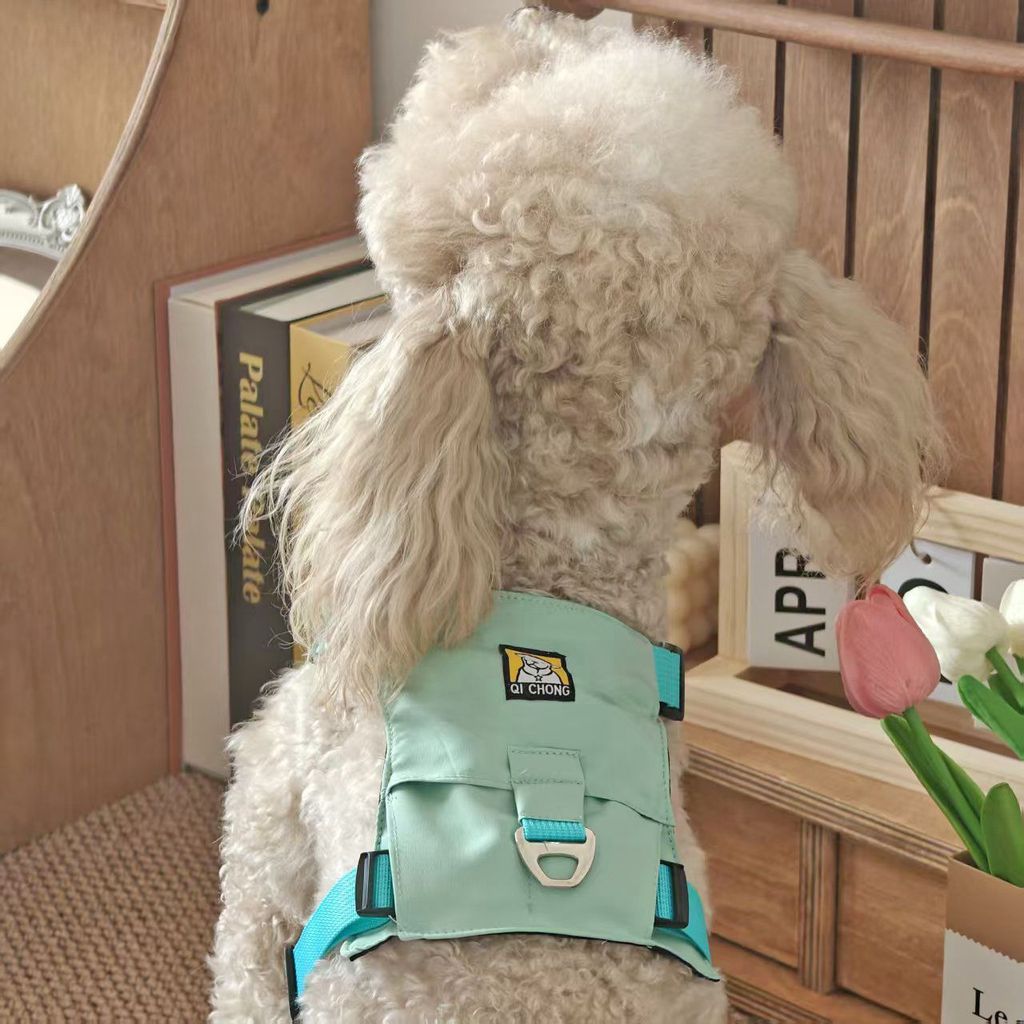 ━24H Fast Shipping ฤดูร้อนน้ําหนักเบาแมวสุนัขหน้าอกกลับ Traction Happy Light หน้าอกกลับแบนเปลี่ยน An