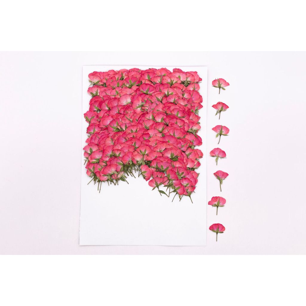 12 ชิ้น Rose Gel เคสโทรศัพท์ดอกไม้แห้ง DIY ที่คั่นหนังสือ