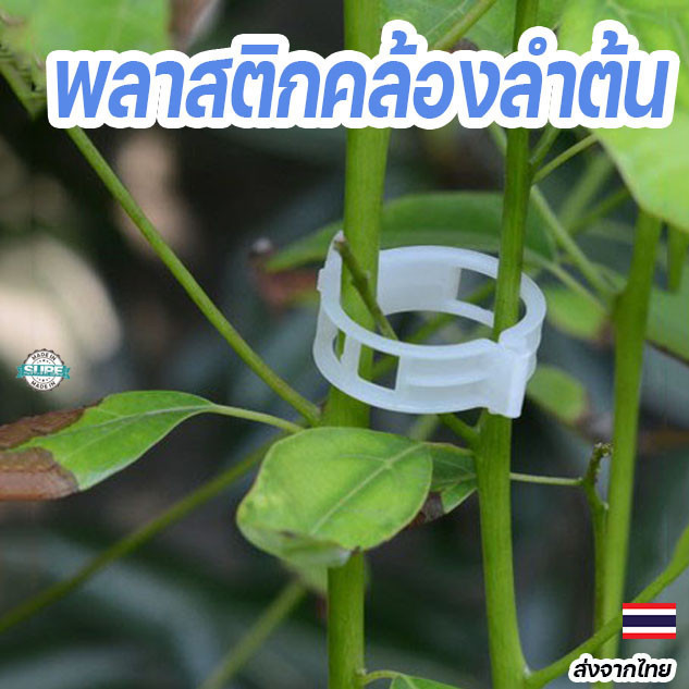 คลิปหนีบลำต้นพลาสติก สีขาว พยุงต้นไม้กับไม้ค้ำ ป้องกันลำต้นล้ม สำหรับแตงโม เมล่อน และพืชทุกชนิด