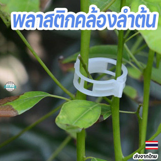 คลิปหนีบลำต้นพลาสติก สีขาว พยุงต้นไม้กับไม้ค้ำ ป้องกันลำต้นล…
