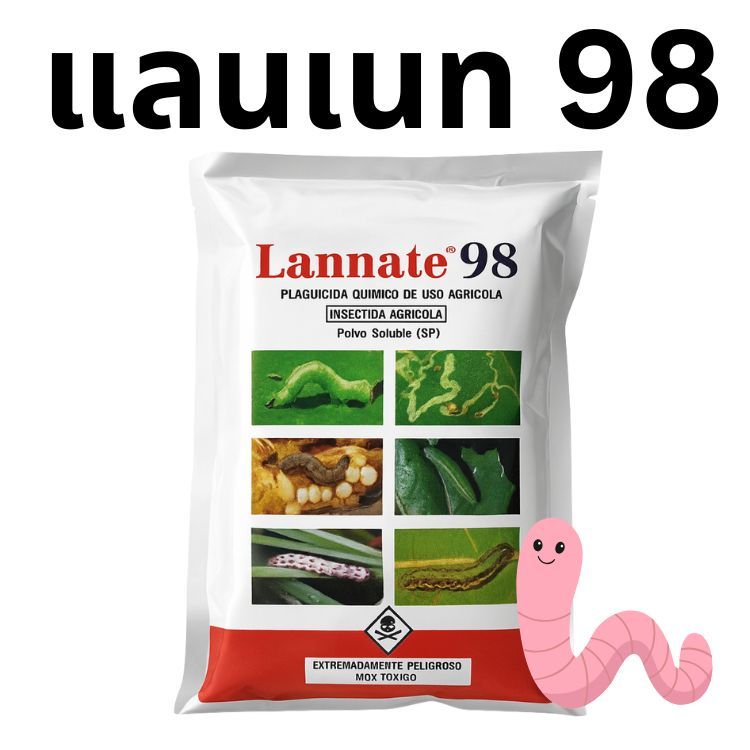 (ส่งไว ของแท้) แลนเนท 98% ยาแมลงศัตรูพืช หนอนเพลี้ย ผงสีขาว ไม่มีกลิ่น 100 กรัม เมโทมิล แรนเนด