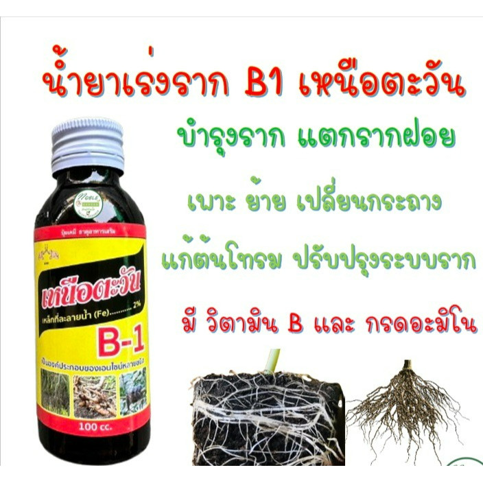 น้ำยาเร่งราก B-1 บีวัน Speed B1 Extra Plus ขนาด 100 ซีซี มีวิตามิน B1+กรดอะมิโน