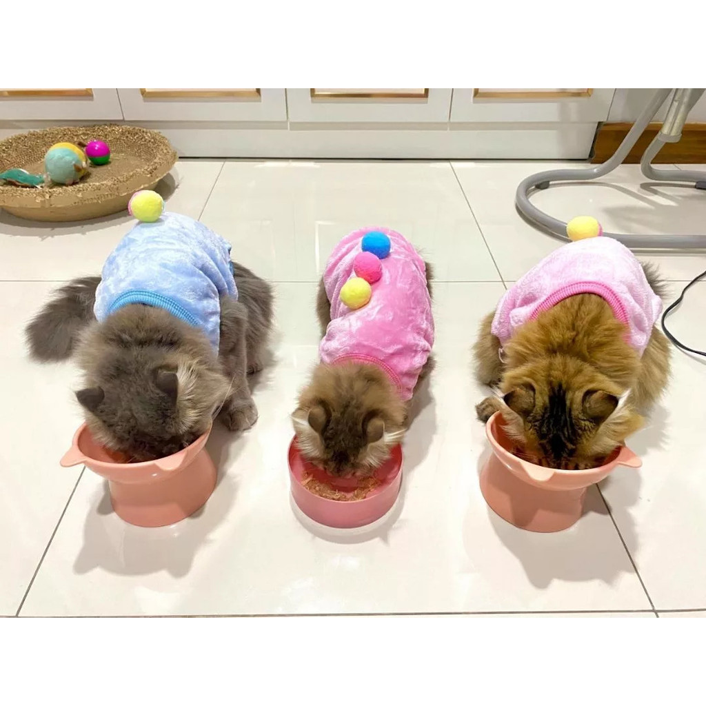 รูปภาพ 4