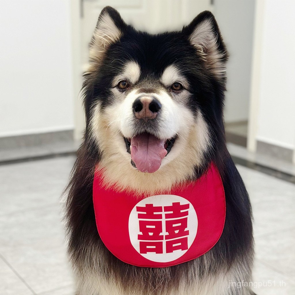 Golden Retriever Dog Bib Saliva Towel Happy Character Dog Alaska Pick-up Pet Dowage Pet Dog Scarf OO