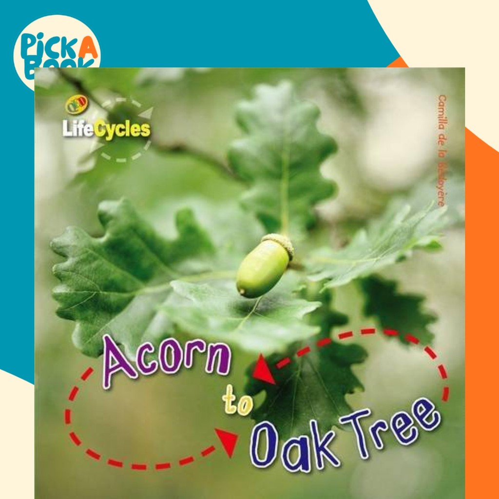 - Acorn to Oak Tree โดย Laura Knowles (ฉบับสหรัฐอเมริกาปกอ่อน)