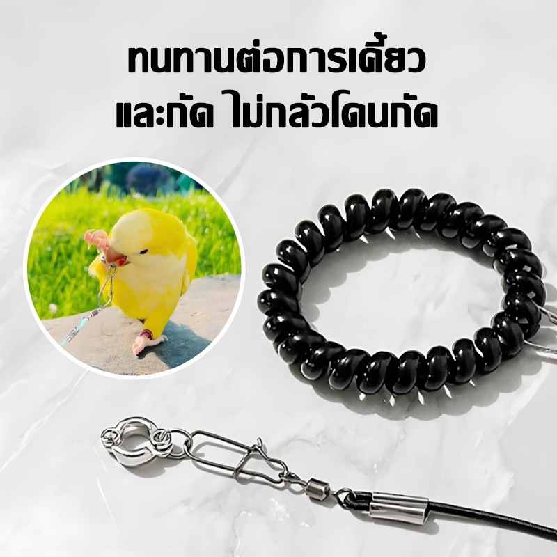 สายจูงนก แบบยืดหยุ่นได้ ห่วงขานกแก้ว เชือกจูงนก เชือกผูกนกหัดบิน เชือกนก กลางแจ้ง นกแก้ว 2 เมตร