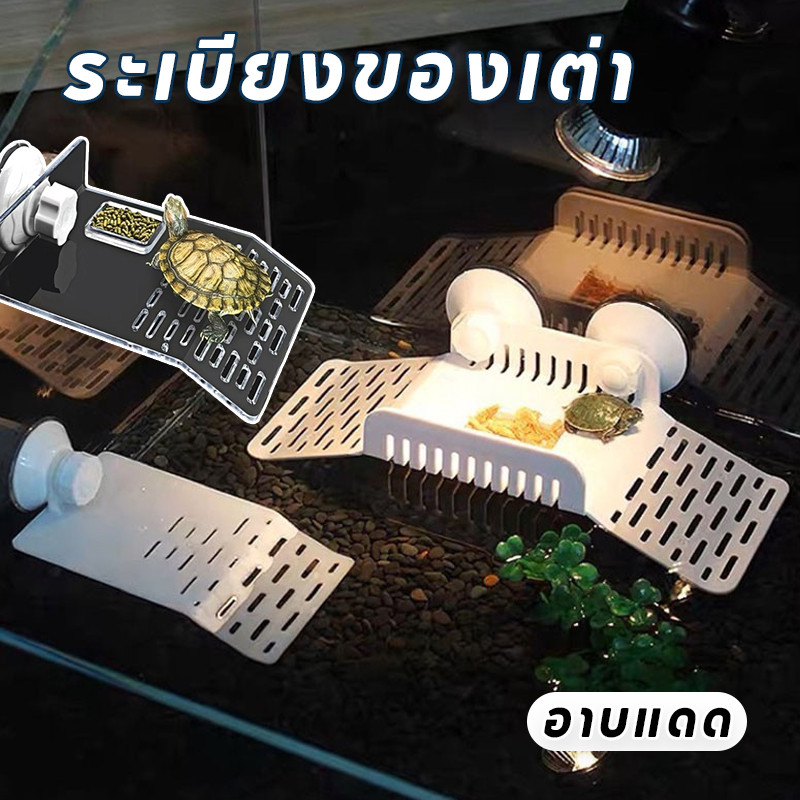 COD ระเบียงของเต่า ทำให้เต่ามีสุขภาพดีขึ้น มีช่องป้อนอาหาร ชนิดถ้วยดูด อาบแดด ทางลาดชันน้อย